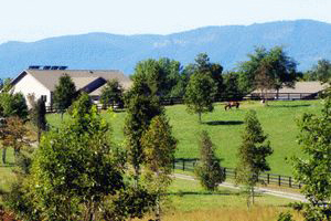 Walnut Creek Preserve is an equestrian community in the foothills of the Blue Ridge Mountains in Western North Carolina. See photos and get info on homes for sale.