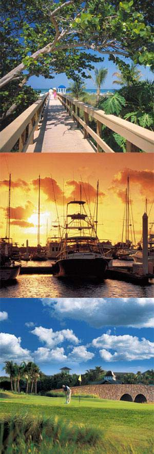 Read More About Fiddler's Creek