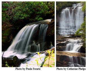 Read More About Connestee Falls