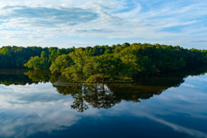 Read More About Cresswind at Spring Haven