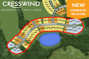 Read More About Cresswind Georgia at Twin Lakes
