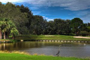 Read More About Boca Royale Golf & Country Club