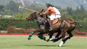 Read More About Trilogy® at The Polo Club