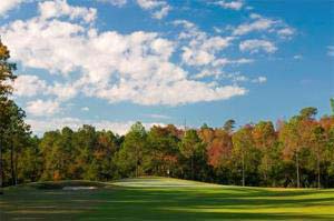 Read More About St. James Plantation