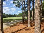 Read more about this Southport, North Carolina real estate - PCR #13334 at St. James Plantation