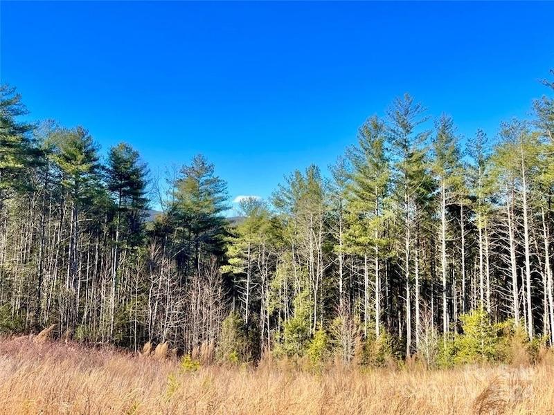 Return to the The Coves Mountain River Club Property Page