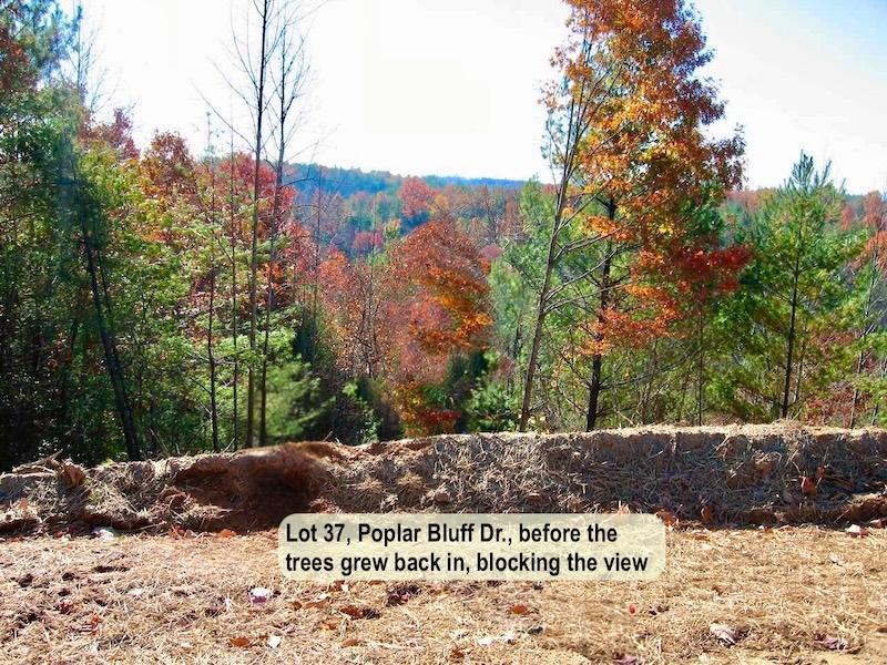 Return to the The Coves Mountain River Club Property Page