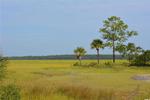 Read more about this Fripp Island, South Carolina real estate - PCR #17295 at Fripp Island