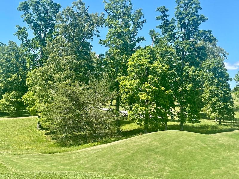 Read more about Gorgeous Golf Front Homesite