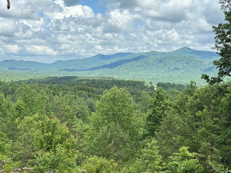 Read more about 113 Valley View Trail #323