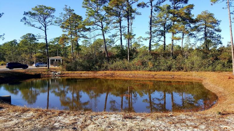 Return to the St. James Plantation Property Page