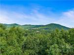 Read more about this Arden, North Carolina real estate - PCR #17792 at The Cliffs at Walnut Cove