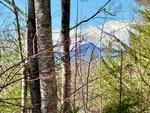 Read more about this Lenoir, North Carolina real estate - PCR #20377 at The Coves Mountain River Club