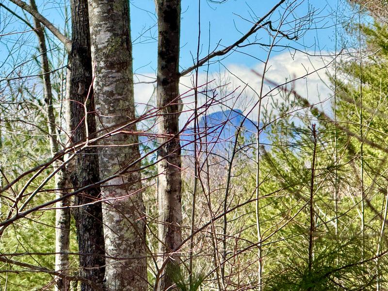 Return to the The Coves Mountain River Club Property Page