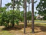 Read more about this Southport, North Carolina real estate - PCR #13176 at St. James Plantation