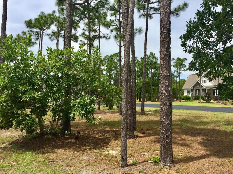 Return to the St. James Plantation Property Page