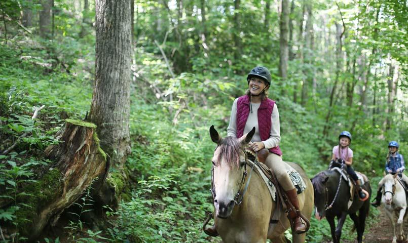 Balsam Mountain Preserve Equestrian Community in NC