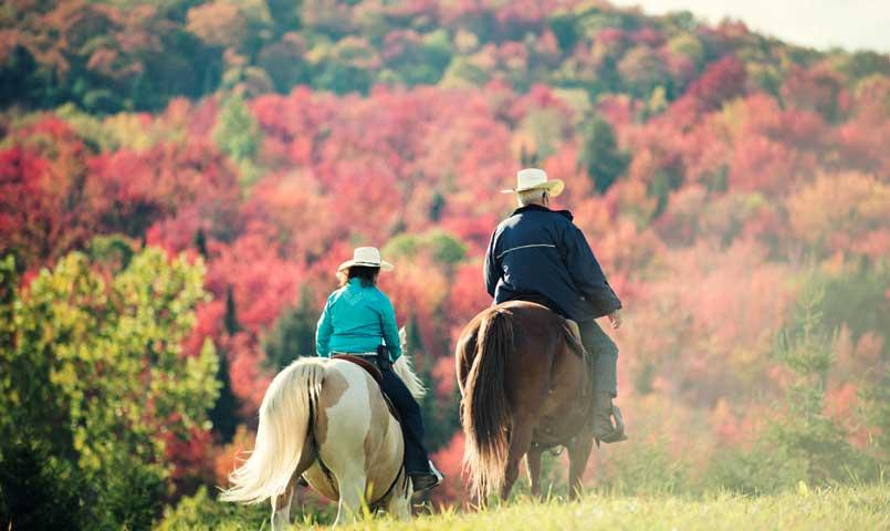 Chestnut Mountain Farms Equestrian Community in North Carolina