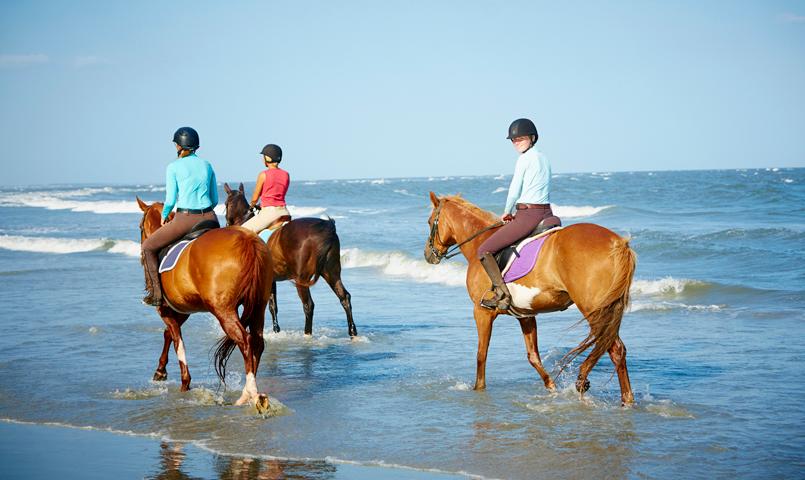 Seabrook Island SC Equestrian Community