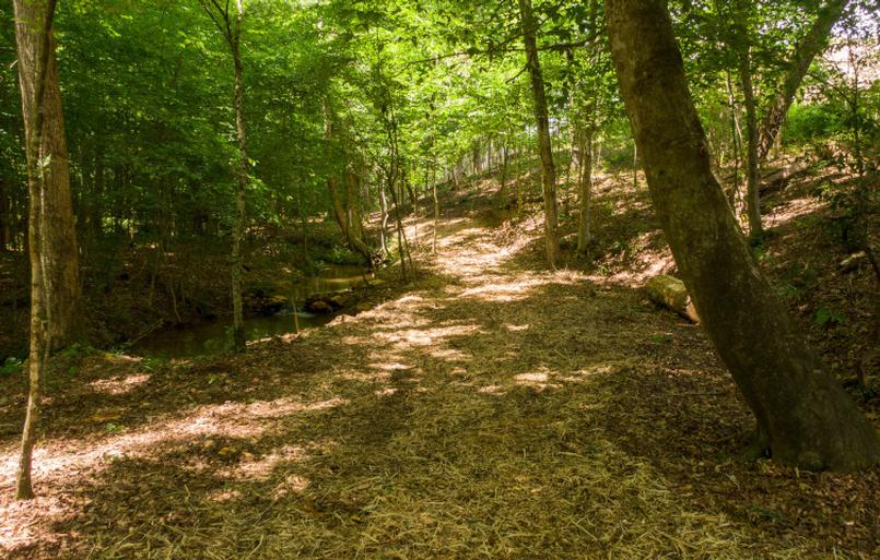 Grandview at Gateway- Blue Ridge Mountain Community 