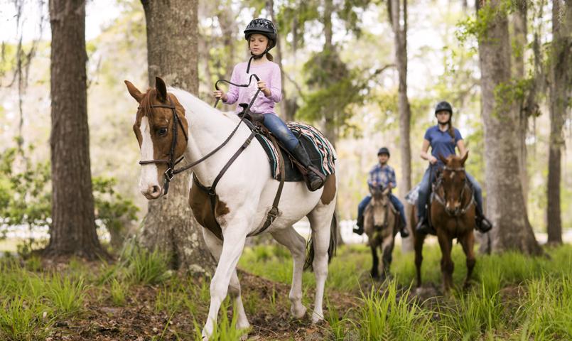 Haig Point SC Equestrian Community