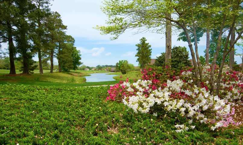 Ocean Ridge Plantation Community Near Myrtle Beach