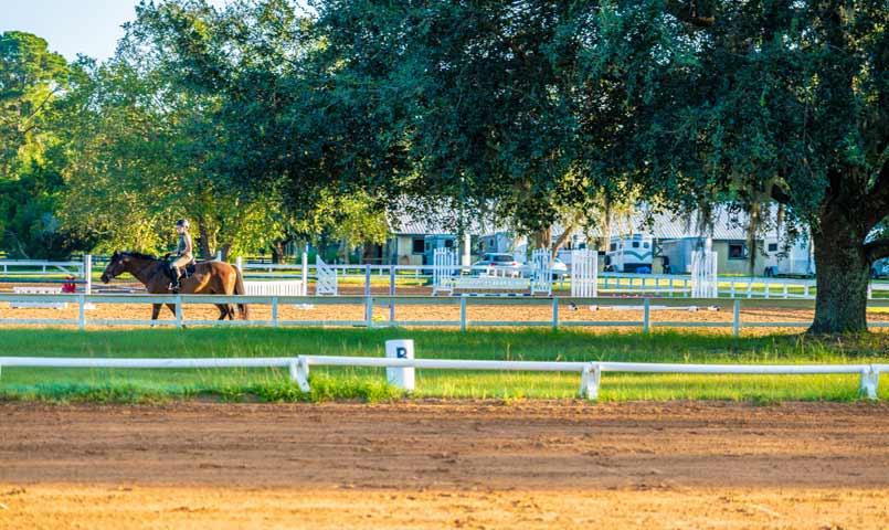 Rose Hill Plantation Equestrian Community