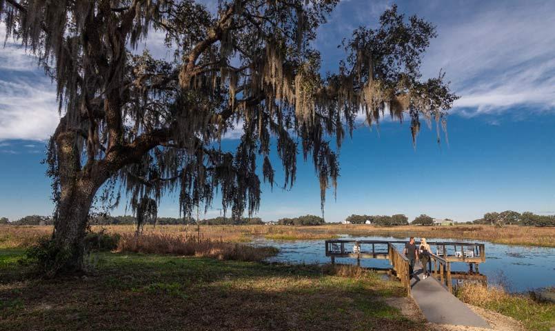 Lakeshore by Simple Life affordable lakefront community in Florida 