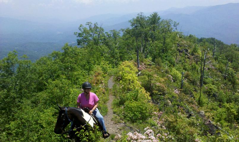 The Settlement at Thomas Divide NC Equestrian Community