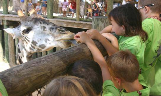 Viera | 55+ Active Adult Community | Viera, Florida