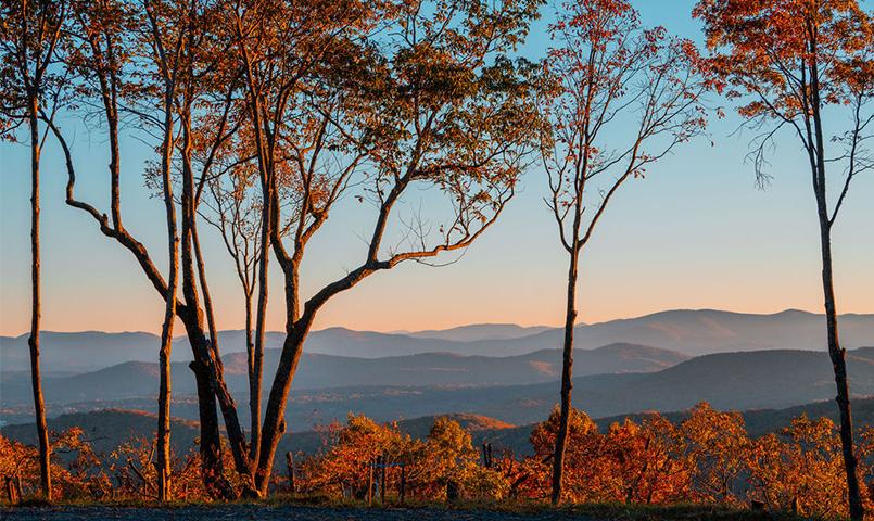 The Preserve Vineyard at Yukon GA community