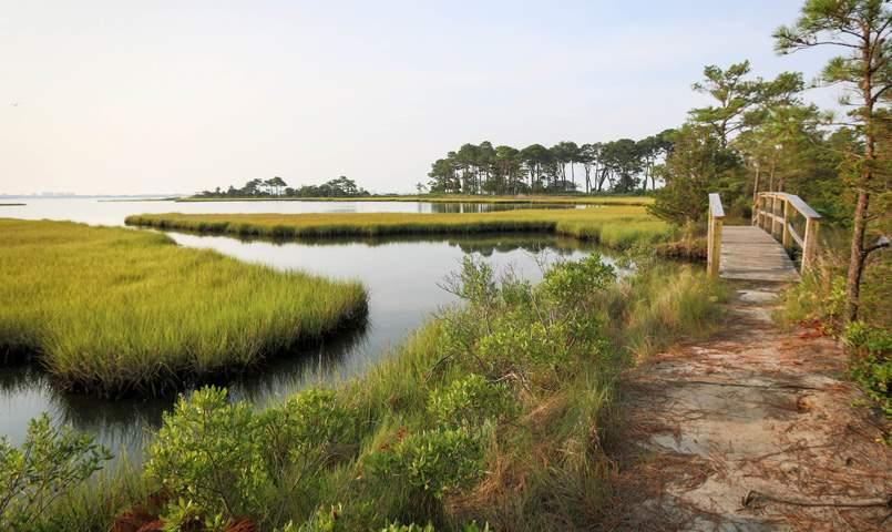 Bayside Development Delaware
