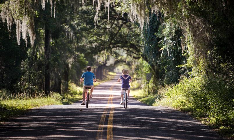 Ocala, FL Scenery