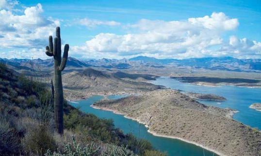 Looking for Arizona 55+ Communities without Golf? Check These Out