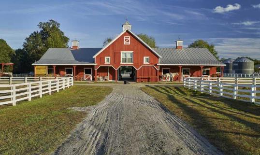 Best Equestrian Communities in South Carolina
