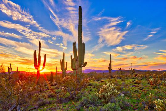 Best 55+ Communities in Arizona