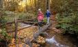 Fall Activities for Seniors: Fun Ways to Stay Active This Autumn