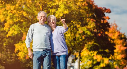 Fall Activities for Active Seniors