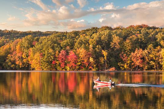 The Autumn Years: Best States to Retire For Fall Foliage 