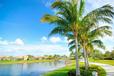 Affordable 55-Plus Communities in Florida: Where to Find Active Adult Living on a Budget