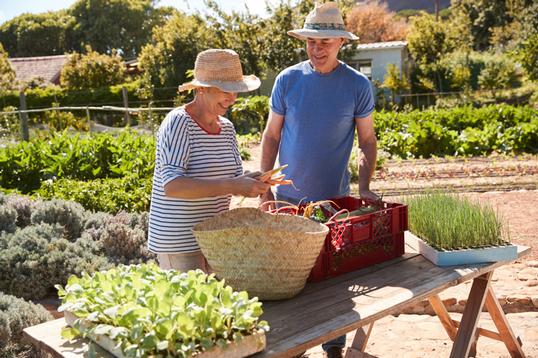 Health Benefits of Gardening for Seniors