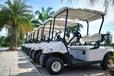 What to Look for When Buying a Golf Cart: A Guide for Retirees & Active Adults