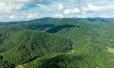 Mountain Air: Elevated Living in the Blue Ridge Mountains of North Carolina