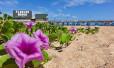Living in Palm Coast, FL: Your Guide to Coastal Lifestyle & Communities