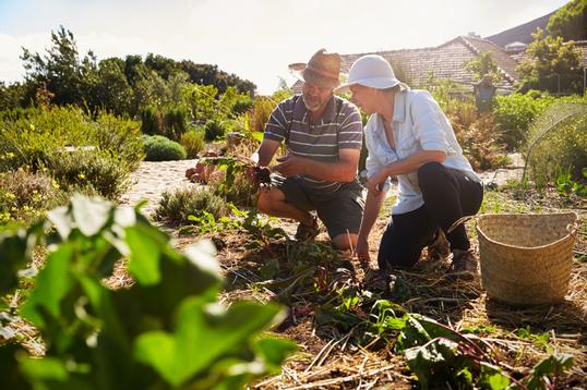 Find Your Niche (and Your People) in an Affinity Community