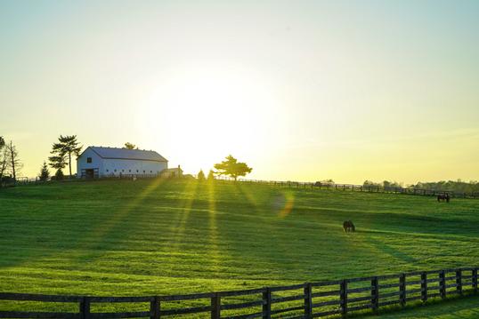 Best Equestrian Communities in East Tennessee